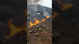 Drone help elephants from Fire #wildlife #drone #elephant #animals #monster #animation #fire
