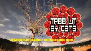 Lit tree cars by