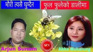 Mauri Tyasai Ghumdaina मौरी त्यसै घुम्दैन फुल फुलेको डालीमा | Abha mukarung | Arjun Sunam 2075 2018