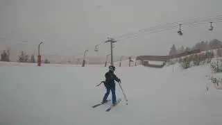 [La forêt blanche] Des moments magnifiques sous la neige 🤩