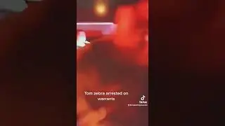 Tom zebra arrested for warrants