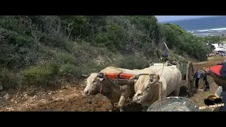 Grand Prix Ville de PETIT CANAL (Anse Maurice) 30 Juillet 2022 (Catégorie B)