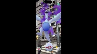 Learning to Catch Shadow Lugia