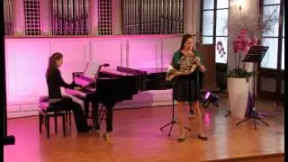 Fröschl Éva Lilla - Franz Strauss Theme and Variations