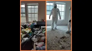 Hoarder Cleanouts