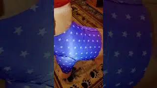 Review of Fourth of July Dog