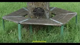 B&auml;nkliwanderungen 2015 BLKB; Wanderung 14; Gelterkinden-R&uuml;nenberg-Kilchberg-Tecknau-Gelterkinden
