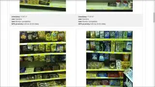 Mystery shopper software. www.visitbasis.com