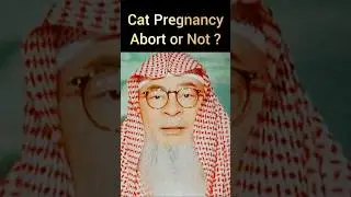 Cat pregnancy abort or not #assimalhakeem #islamiceducation #islamiclecture #shorts