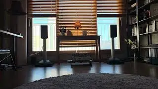 Gold Lion KT88 / Bostridge