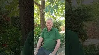 Βάδιζα μια νύχτα μοναχός - Νίκος Δρακόπουλος
