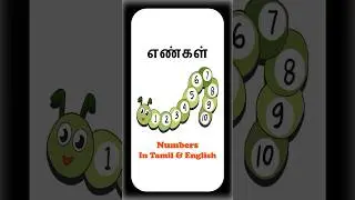 எண்கள் - Numbers in Tamil & English