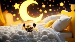 Relax in Space with Pearl the Peaceful Pug! ✨🐶🌙