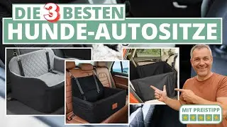 Auto-Hundesitz - Die 3 Besten!