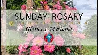 Sunday Rosary • Glorious Mysteries of the Rosary ❤️ August 17, 2025 - Multiple Languages Available!