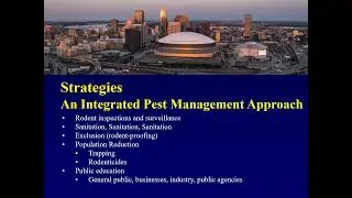 Real World Rodent Control 12152021