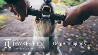 Dog Bites - What is the law in Georgia and how can you recover in a claim from the dog owner?