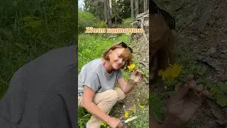 Что такое жълт кантарион?