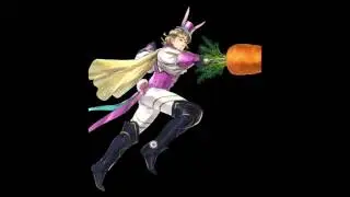 FE Heroes Voice Clips: Spring Festival + Lloyd Status Clips