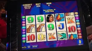 slot machine brazil en el casino soboba no pago nada 🐯🦋