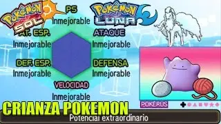 /GUÍA/ SOL Y LUNA CRIANZA POKEMON PARTE #1