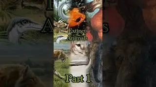 Extinct Animal Facts #extinction #extinctanimals #facts #mammoth #goldentoad #thylacine #dodo #dino