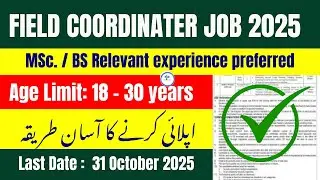 &ldquo;Punjab Job Portal New Update Today | Apply Online | Latest Govt Jobs 2025 in Pakistan&rdquo;