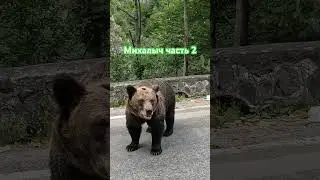 Часть 2 Дулин все еще ищет Михалыча #youtube #travel #smile #юмор #shorts #short #приколы #природа
