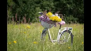 Relaxing Music for Cycling and Biking