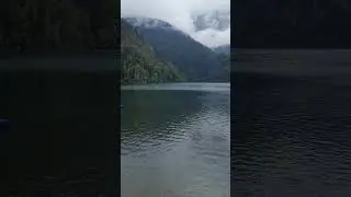 Осень в Абхазии #travel #shorts #turtle #топ #shortvideo