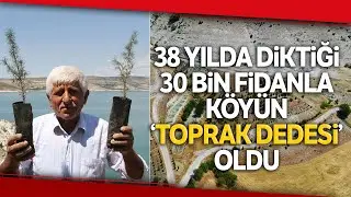 Ömrünü Ağaçlara Adadı, 38 Yılda Köyün Çehresini Değiştirerek 30 Bin Ağaç Dikti