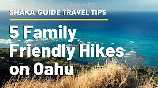 5 Family Friendly Hikes on Oahu | Claimed by Locals