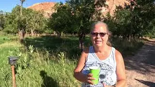 Fruita Campground, Capitol Reef, Utah