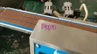 Papa hot selling P307 cracker production line for sales