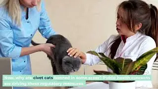 The Fascinating Truth About Civet Cats and Their Role in Coffee Production