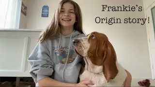 Frankie’s origin story!