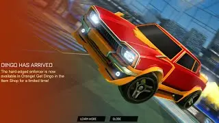 * NEW ORANGE DINGO* RL ITEM SHOP 27/08/21
