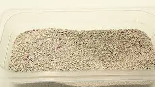 Fast Cleaning 10kg Low Dust Clumping Cat Litter &ndash; Superior Absorbency & Odor Control! 🐱