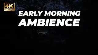 Early Morning - Ambience  From Night to Dawn &ndash; Crickets, Roosters & Quiet Street Sounds 1 Hour