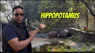 Gwalior Zoo me Animals Se Bak…. 🥲
