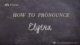 How to Pronounce Elytra (Real Life Examples!)