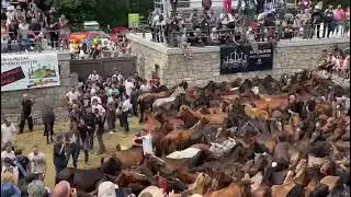Horse festival in Santiago, Spain