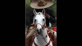 CRUSIFICCION DE JESUS EFRAIN GARCIA viernes santo,  santa, pascua, Mariachi cristiano tumba vacia