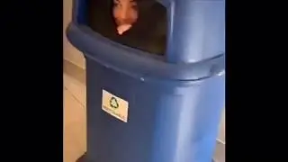Best of High School Funny Snapchat