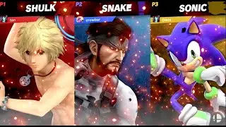 When it becomes 1 V 1, Lets Run it SSBU
