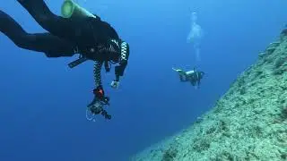 First dive in Fiji-Super Market- full size Captain Cook Cruise
