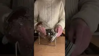 Sprossen ziehen - Schritt f&uuml;r Schritt Anleitung