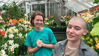 Bulb Show tour 2020