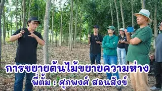 การตัดต้นไม้ขยายระยะความห่าง || เอ็นดูฟาร์มรัก Channel
