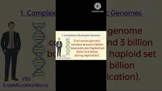 Eukaryotic DNA Replication @EnteMicrobialWorld #biology #genetics #shortsfeed #dna #education